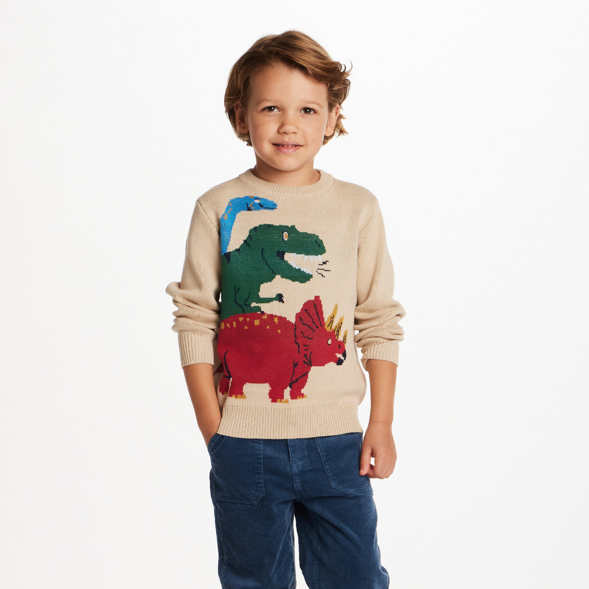 Kids (2 - 8) Boys Sweater - Beige Dino - Cozy - Andy & Evan