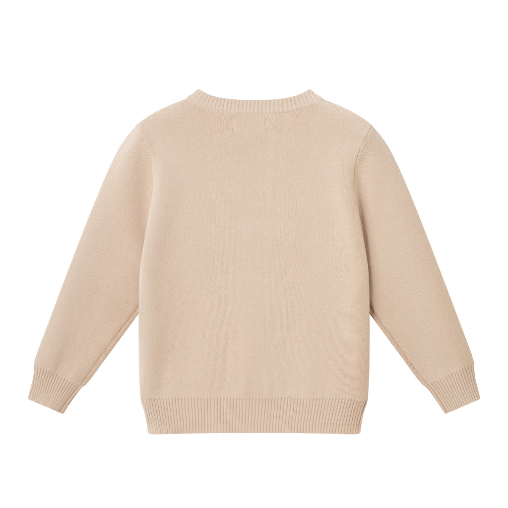 Kids Graphic Sweater | Triple Dino - Andy & Evan