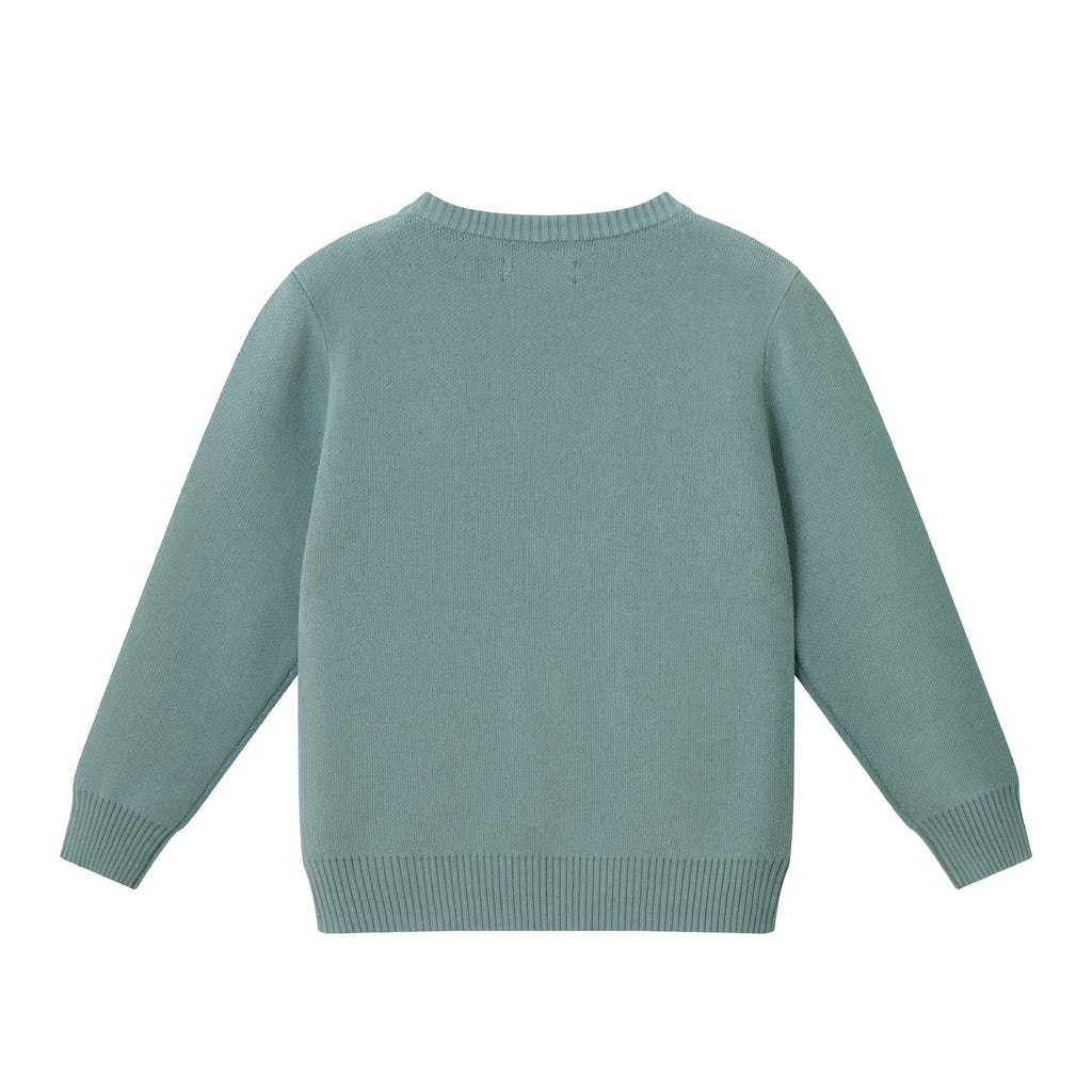 Kids Graphic Sweater | Green Camper - Andy & Evan