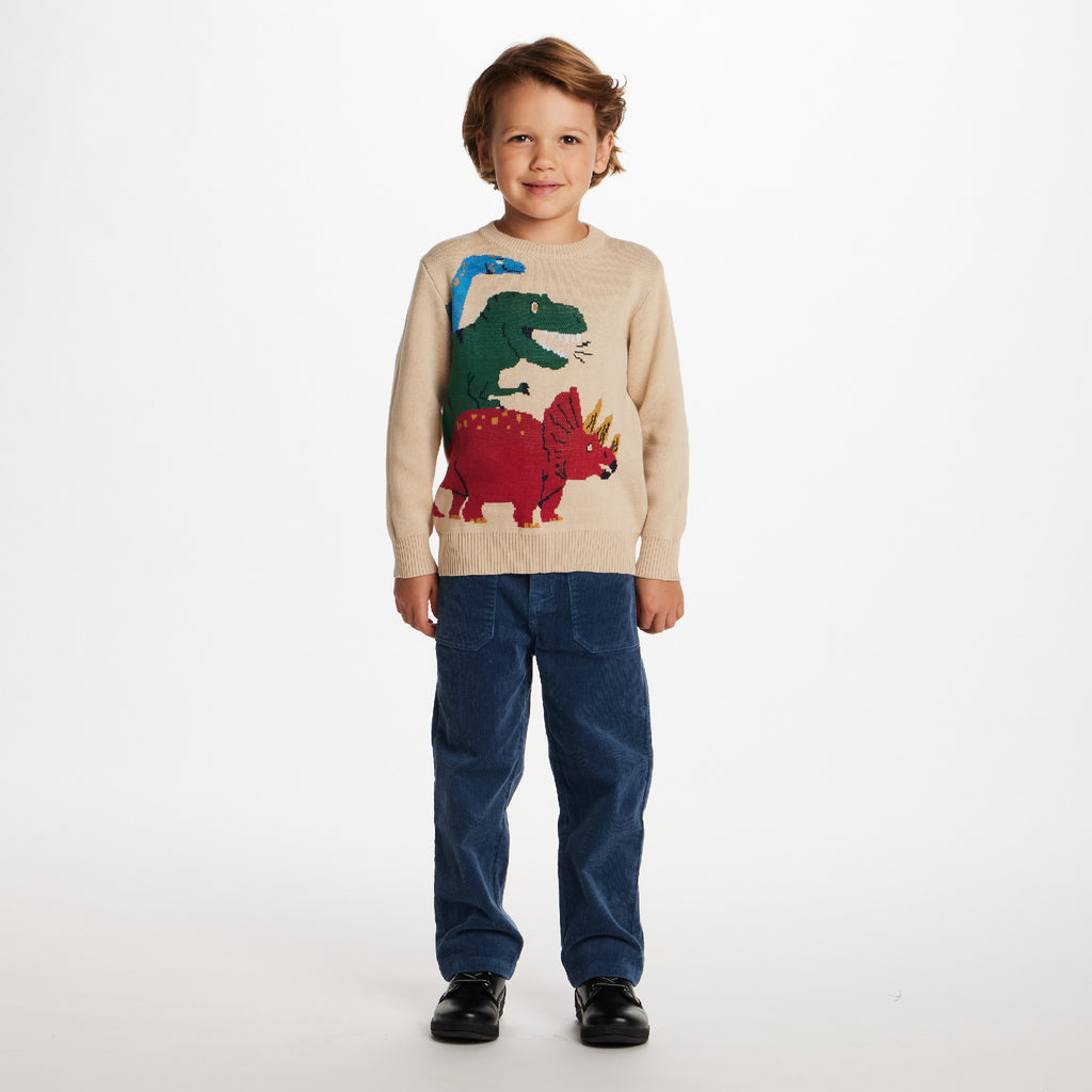 Kids Graphic Sweater | Triple Dino - Andy & Evan