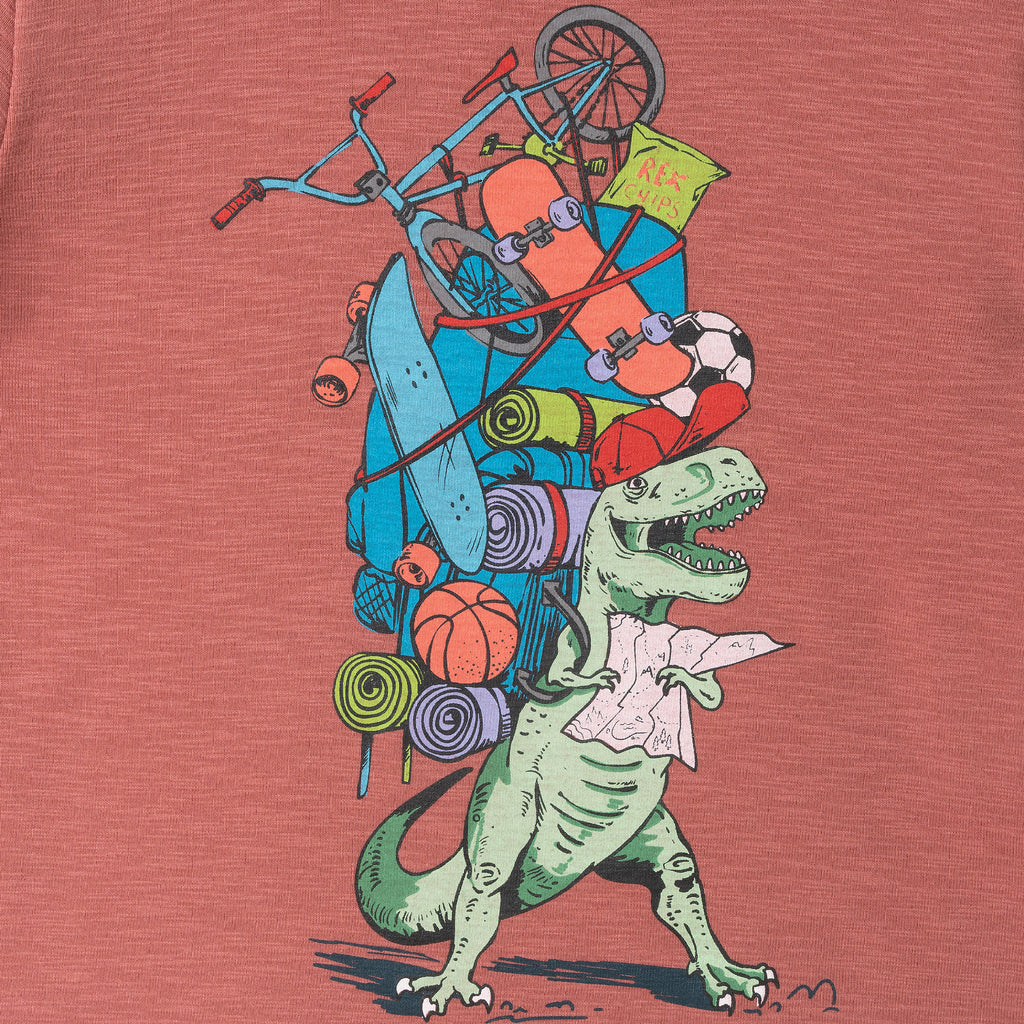 Kids Twofer Graphic Tee | Dino Explorer - Andy & Evan
