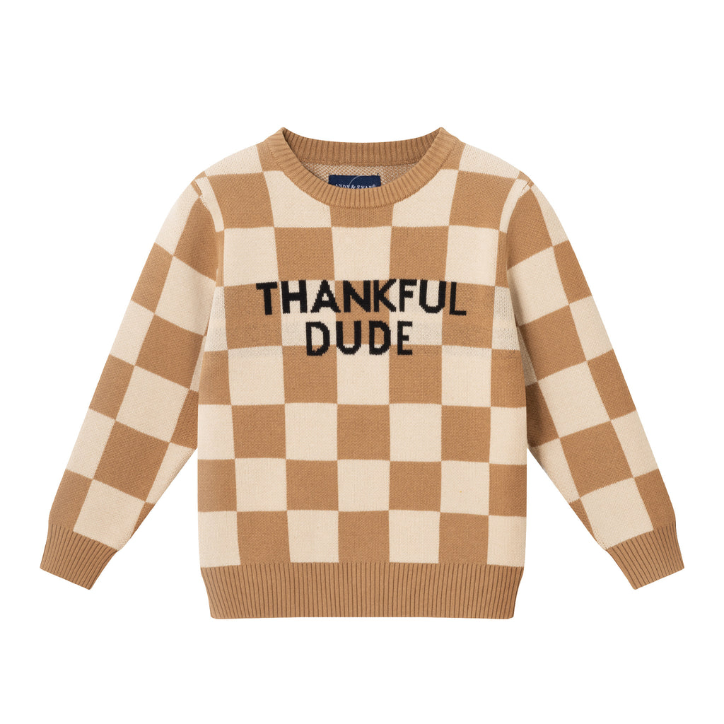 Graphic Sweater (6-8) | Thankful Dude - Andy & Evan