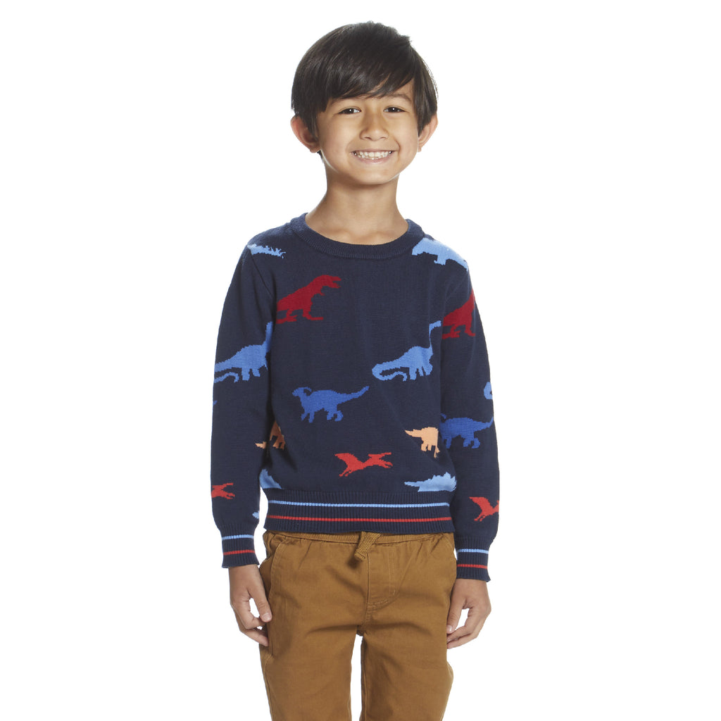 Boys Dinosaur Pattern Sweater - Andy & Evan