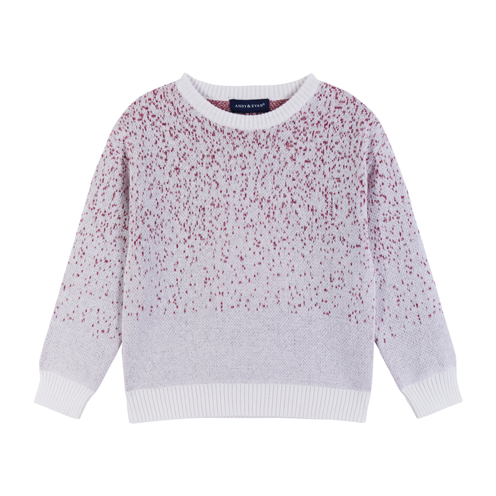 Girls Pink Ombre Sweater Set - Andy & Evan
