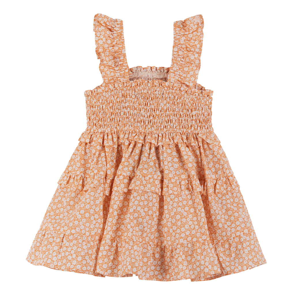 Baby Girls Orange Ruffle Smock Dress - Andy & Evan